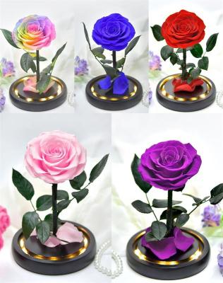 China Wholesale Fashional Yunnan Rose Eternal LED Enchanted Light Beauty Beast Preserved Rose Flower in Glass Dome for sale