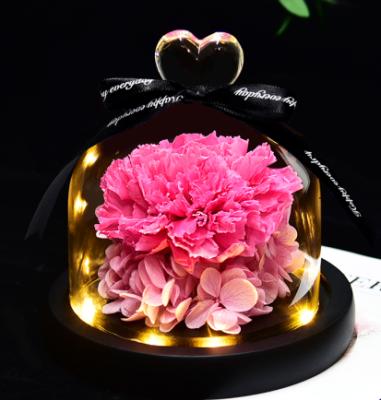 China Fashional Amazon Hot Sale Preserved Rose in Glass Dome with LED Light for Mothers Day Valentine Day Xmas Gifts for sale