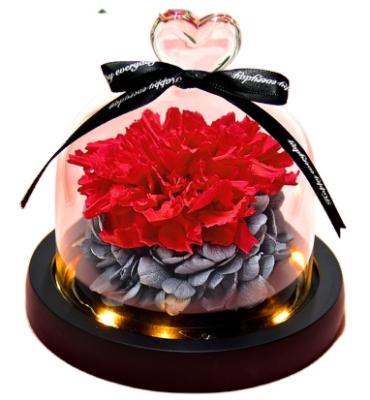 China Best Fashional Gift For Mothers Wholesale Price Eternal Carnation Preserved Flower In Glass Dome With LED for sale