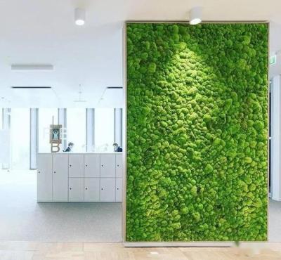 China Fashional Moss Poles Indoor Plants Real Moss Grass Home Art Decoration Green Wall Panels for sale