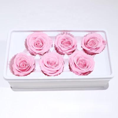 China Fashional Hot Selling Real Touch Wholesale Dried Lasting Eternal Stabilized Flower Head Preserved Rose Head for sale