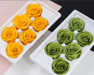 China 2021 Fashional A Grade Real Touch Natural Everlasting Immortal Stabilized Flower Head Forever Preserved Roses for sale