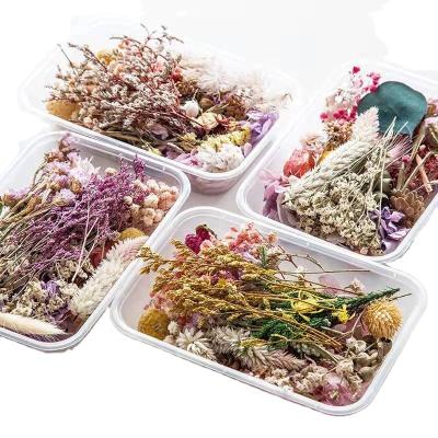 China Fashional Natural Dry Pressed Flowers Material For Resin Soap Phone Case And Nail Decoration Making Dry Flowers For Soap for sale