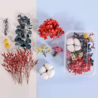 China Fashional Hot Selling Popular Dried Flowers For Dried Resin Molds Candles Arts Decor Making Dried Flowers For Dried Nail Art for sale