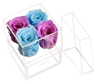 China New Design Popular Eternal Preserved Fashional Rose Flower in Clear Acrylic Gift Box for Weeding Valentine's Day Gifts for sale