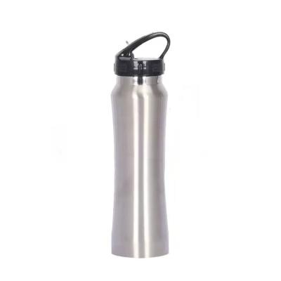 China Viable Custom Promotional 750ml Sports Stainless Steel Single Wall Cold Water Bottles With Lid And Straw Handle for sale