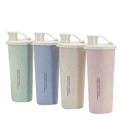 China Sustainable Hot Product Wheat Straw Double Wall Empty Plastic Reusable Biodegradable Water Bottle With Straw for sale