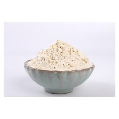 China Low Temperature Vacuum Dry Fried Garlic Crisp Dry Garlic Natural Healthy Powder for sale