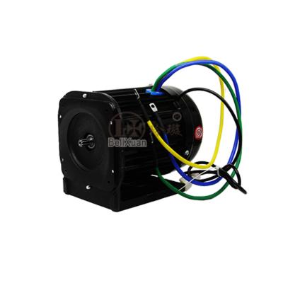 China 72v 3.0kw 4.0kw totally enclosed brushless dc motor hydraulic system brushless dc motor special for forklift for sale