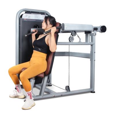 China New Universal High Quality Gym Equipment Fitness Machine Body Exercise Seated Shoulder Press for sale