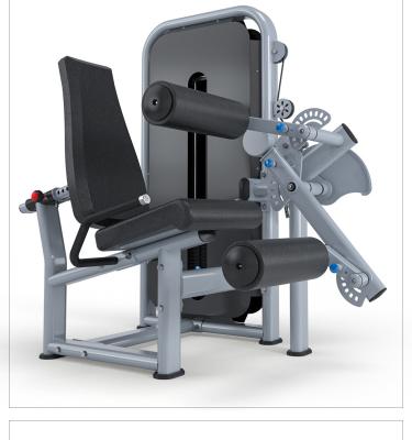 China Universal Commercial Seated Leg Extension Machine Gym Strength Training Fitness Equipment for sale