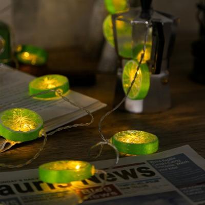 China Modern Lemon String Lights Led China Decoration Gardening  Decorative Holiday  Festival Home  Room Decor Lights Curtain  Outdoor Indoor for sale