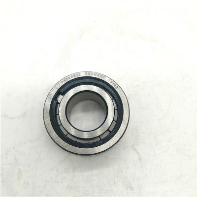 China Garment Shops Cylindrical Roller Bearing F-123242 Original Germany Bearing Bearing F-123242 for sale