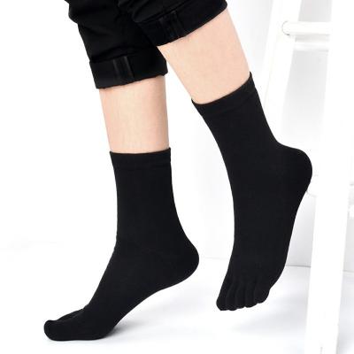 China Other Mens 100% Cotton Socks for sale