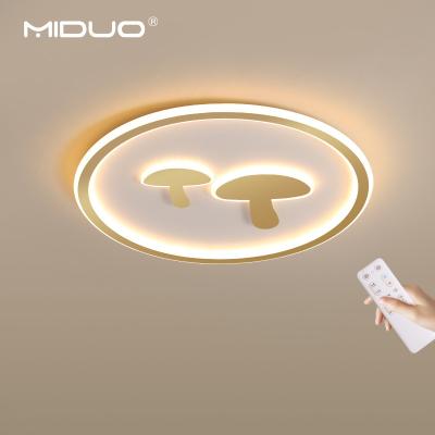 China High Brightness Outdoor Mounted Thin Ceiling Lamp For Kids Bedroom Dimmable Led Light Led Ceiling Lamp for sale