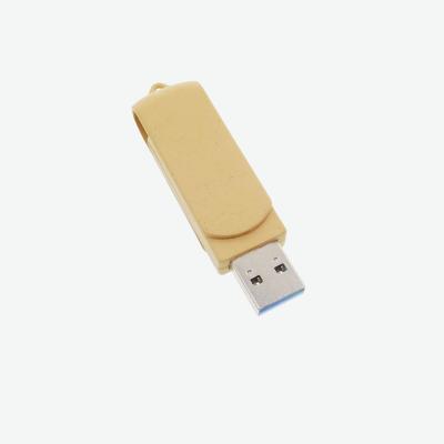 China Hot Selling 4GB USB2.0 Memoria USB Degradable Hardware with Small MOQ Logo Branded Customized by 10pcs 1GB 2GB 8GB 16GB 32GB 64GB 60*17*10mm for sale