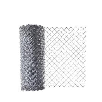 China ECO FRIENDLY Cheap Galvanized Decorative Chain Link Fence for sale