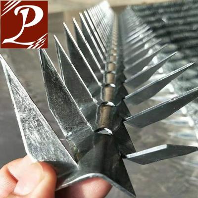 China Steel Wire Anti Climb Wall Spikes , Razor Spikes for sale