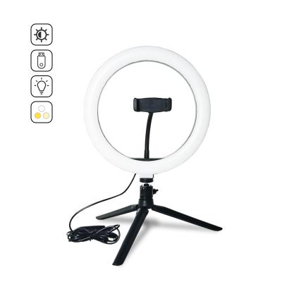 China Hotel 10 Inch Selfie Ring Light For Mobile Phone With Phone Holder Live Photo Makeup Ring Light for sale