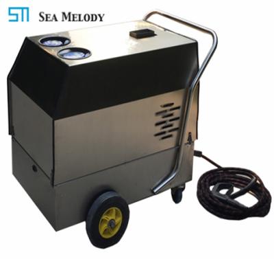 China Hot Sale Stainless Steel Automotive Industry Steam Cleaner For Car Washing Machine for sale