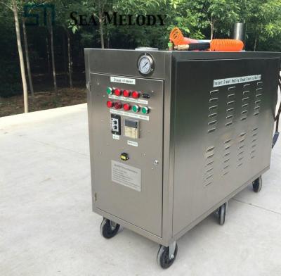 China China-chic New High Pressure LPG Powered Steam Two Gun Car Cleaning Machine for sale