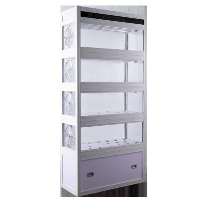 China Farms Restaurant Vegetable Organic Hydroponic Growing Cabinet for sale