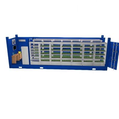 China Easy to Grow Plant Hydroponic Plant LED Container Farm Artificial Light Indoor Plant for sale