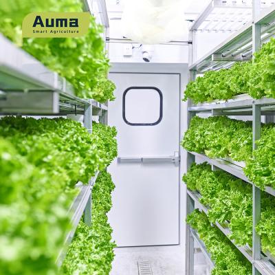 China Easy to grow hydroponic container system for growing vegetables, fodder and other crops in vertical tillage containers for sale