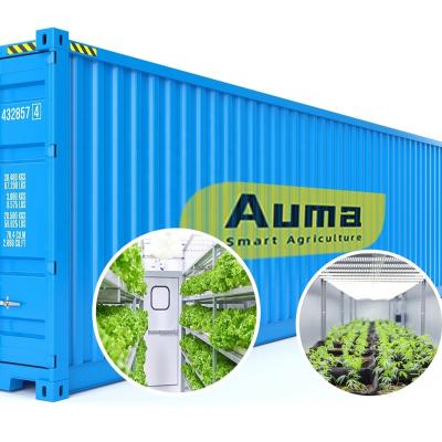 China Easy to grow container plant planting method which is not influenced by environment and geography for sale