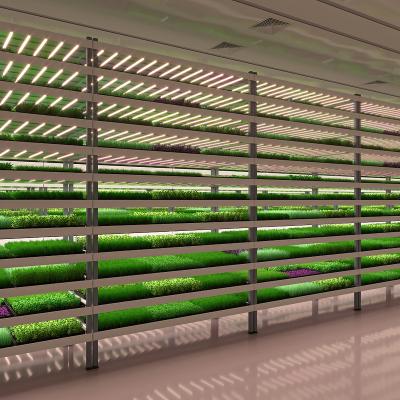 China Easy to Grow Indoor Hydroponic Growing Systems for More Efficient Forage Growing for sale