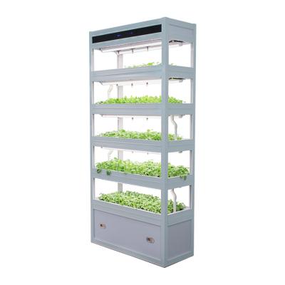 China Easy To Grow Urban Cultivating Indoor Hydroponic Growing Vertical Garden With Led Grow Lights for sale