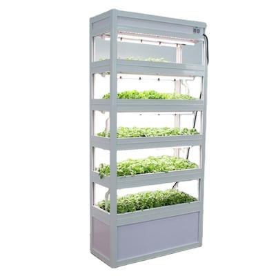 China Easy to Grow LED Indoor Artificial Light Organic Planting Seedling Raising Hydroponic Machine Use for Atomization Spray System for sale