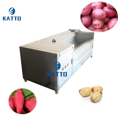 China High Efficiency Automatic Vegetable And Fruit Washing Machine Brush Roller Washing Machine for sale