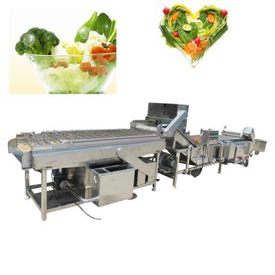 China High Efficiency Industrial Vegetable Process Equipment Fruit Cleaning Washing Machine for sale