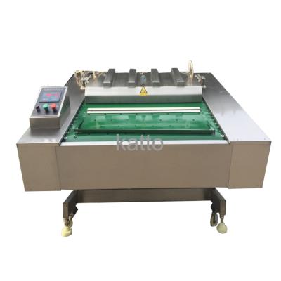 China Automatic Continuous Belt Type New Product Food Packaging Vacuum Sealing Plastic Bag Machine for sale