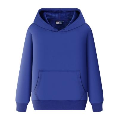 China Custom OEM ODM Anti-pilling Men's Winter Hoodies Different Colors for sale