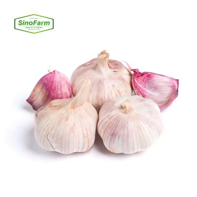 China Fresh Cold Storage Red Garlic Packing Box Export To Ukraine for sale