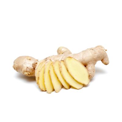 China Fresh/Dried Ginger Export Price Fresh Carton Packing Is Cheap for sale