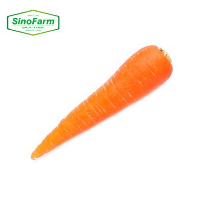 China New Crop Fresh Vegetable Carrot Wholesale Price Per Ton 2021 From Carrot Exporter for sale