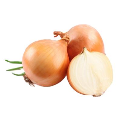 China China Supplier Exporting Fresh Small Onions For Packing Mesh Bags With Cheap Price for sale