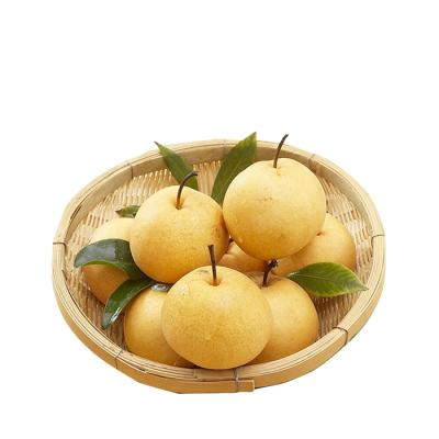 China 2020 Fresh No 2019 Fresh New Crop Ya Pear 1 Ton Price With Good Quality for sale