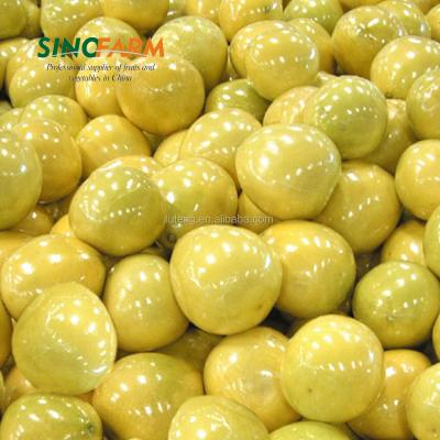 China Fresh new cultivation honey grapefruit to Russia for sale