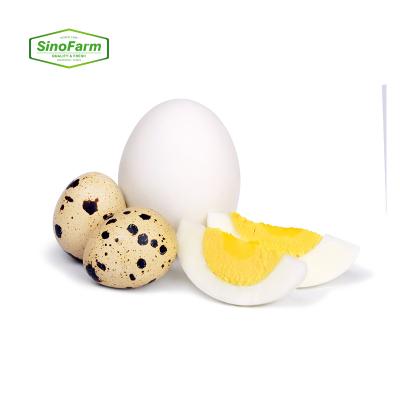 China Cooked canned quail egg food for eating in canned boiled quail eggs in brine for sale