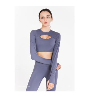 China 2022 New Design Antibacterial Long Sleeve Sports Crop Shirts Yoga Sexy Open Chest Crop Shirts With Bra For Women for sale