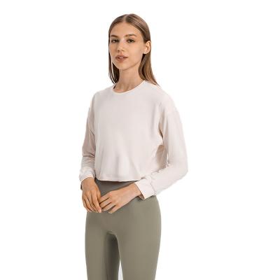 China Antibacterial Nylon Casual Long Sleeve Crop Top Women Workout Sweater Lady Spandex Top Women for sale