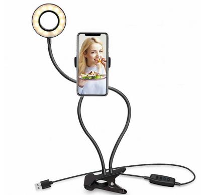 China Ring Light Bracket New 2 in 1 Mini Ring Light Stand Holder Flexible Clips Table Selfie Ring Light With Cell Phone for sale