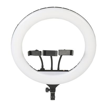 China Factory Price Photography 22 Inch 55W PORTABLE Ring Light Adjustable Tripod Stand For Youtube Live Stream for sale