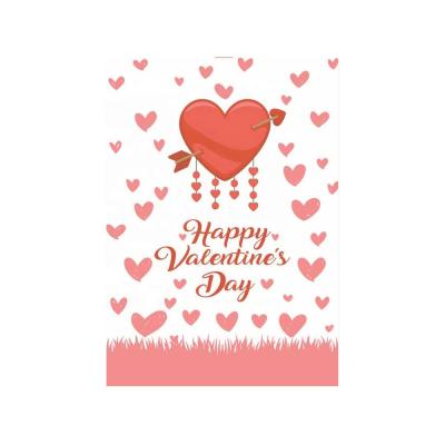 China Cheap Double Sided Hanging Valentine's Day Holiday Garden Flag for sale