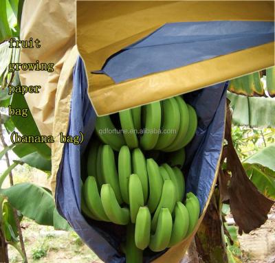 China Fresh fruit protection paper bag for banana growing paper bag for sale