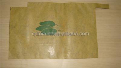 China Disposable mango fruit protection bag/mango protection bag/mango bag fruit cover for sale